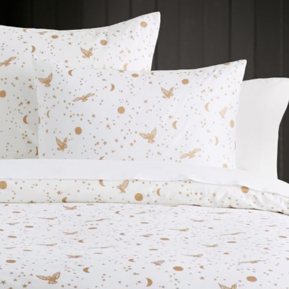 Pottery Barn Harry Potter Duvet Set